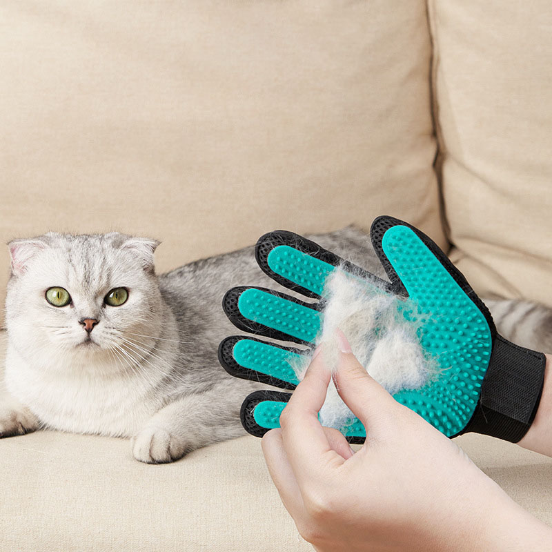قفاز تنظيف للحيوانات الأليفة،  - مراجعة Rubber Glove Cleaning وسعره