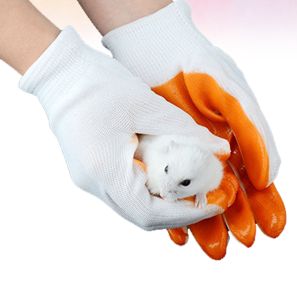 زوج واحد من القفازات المضادة ل - مراجعة Cut Resistant Glove وسعره